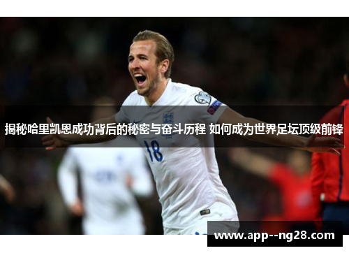揭秘哈里凯恩成功背后的秘密与奋斗历程 如何成为世界足坛顶级前锋