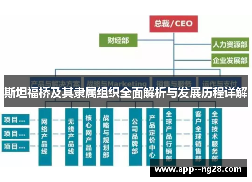 斯坦福桥及其隶属组织全面解析与发展历程详解
