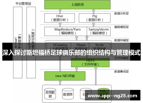 深入探讨斯坦福桥足球俱乐部的组织结构与管理模式