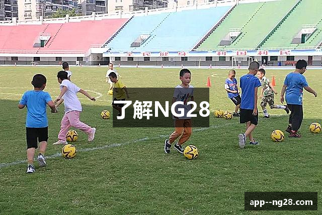 了解NG28
